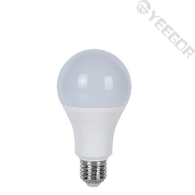A50 LED Bulb