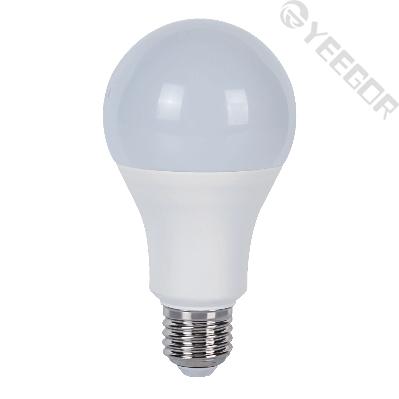A70 LED Bulb