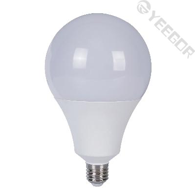 A80 LED Bulb