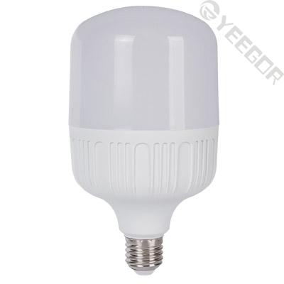 B-T100 LED Bulb